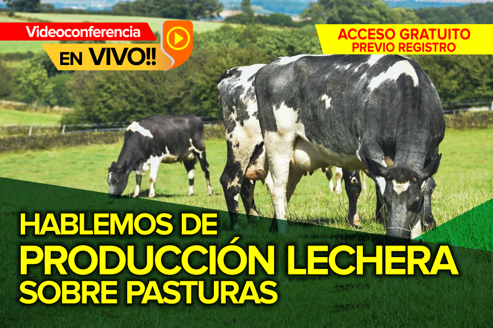 Hablemos de Producción Lechera sobre Pasturas