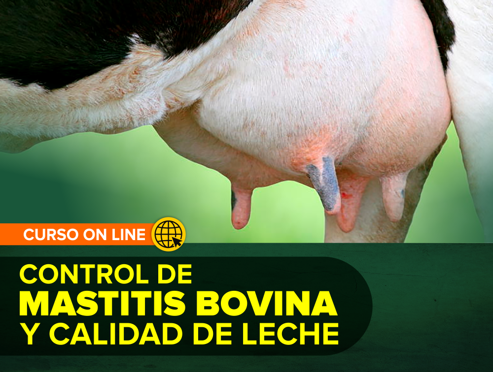 Curso On Line: Control de Mastitis Bovina y Calidad de Leche