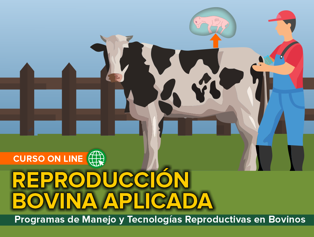 Curso On Line: Reproducción Bovina Aplicada – Programas de Manejo y Tecnologías Reproductivas en Bovinos