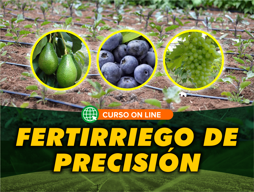 Curso On Line: Fertirriego de Precisión