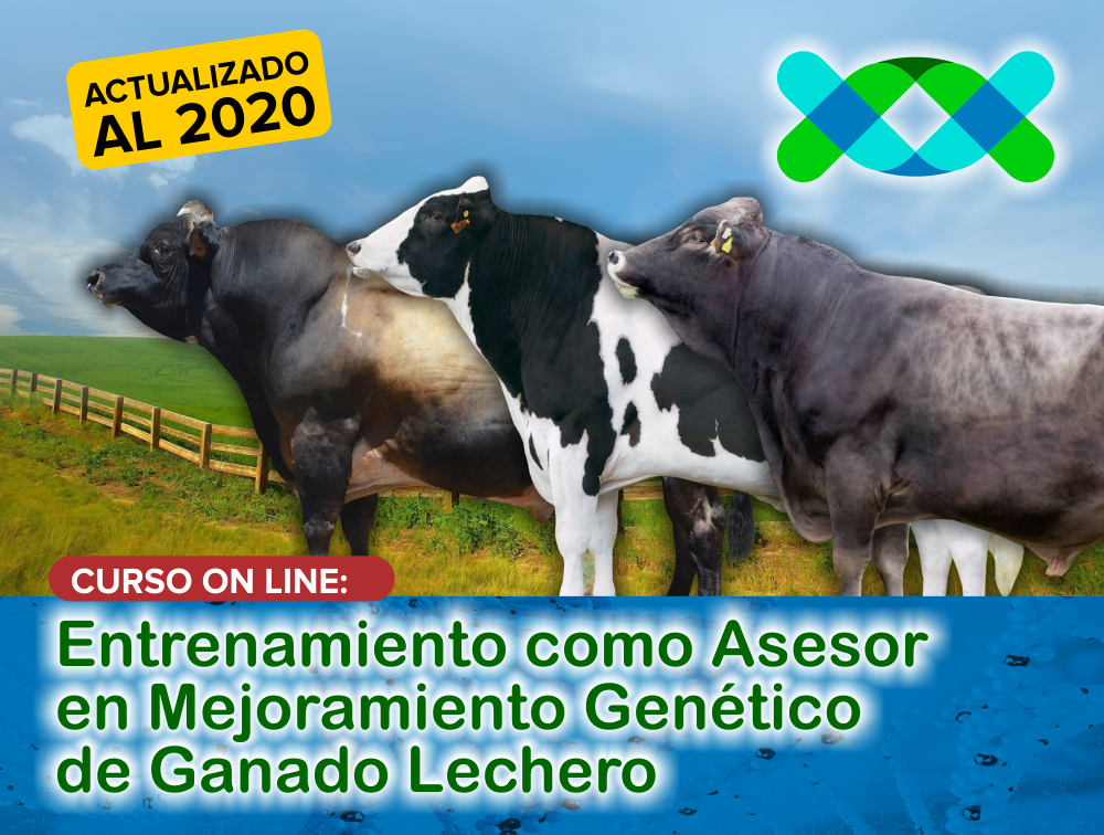 Entrenamiento como Asesor en Mejoramiento Genético de Ganado Lechero