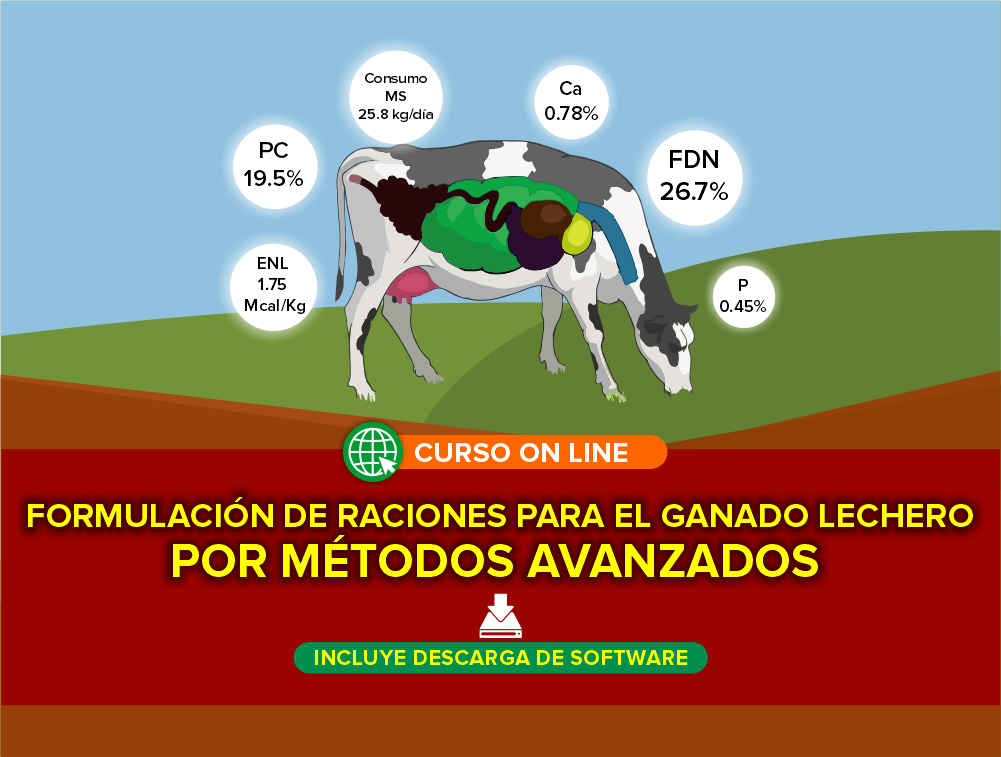 Curso On Line: Formulación de Raciones para el Ganado Lechero por Métodos Avanzados