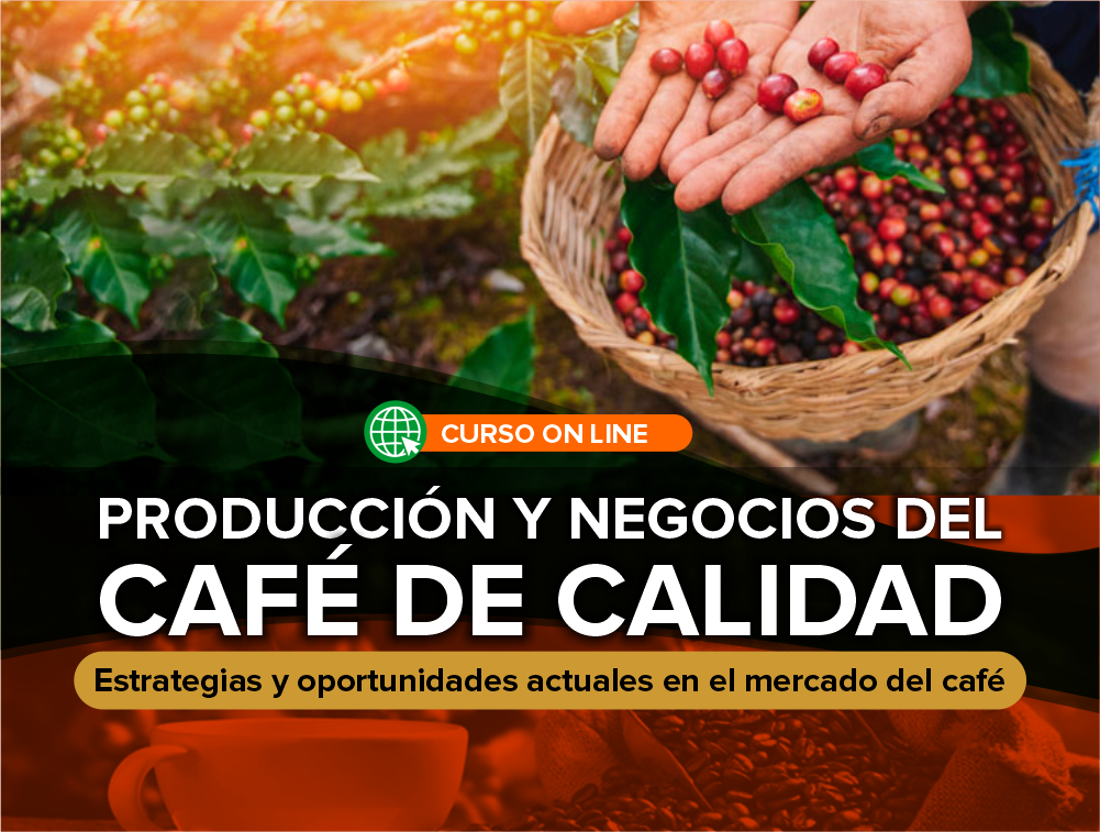 Curso On Line: Producción y Negocios del Café de Calidad