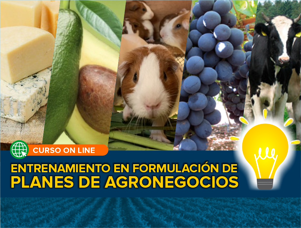 Curso On Line: Entrenamiento en Formulación de Planes de Agronegocios