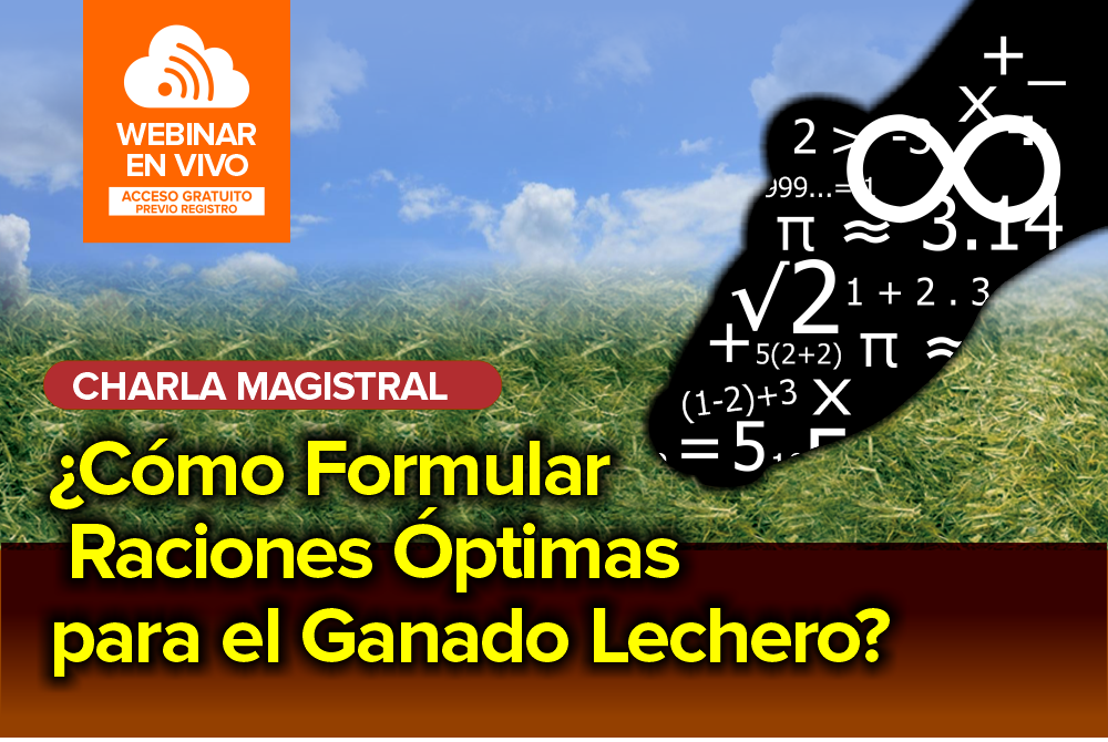 ¿Cómo Formular Raciones Óptimas para el Ganado Lechero?