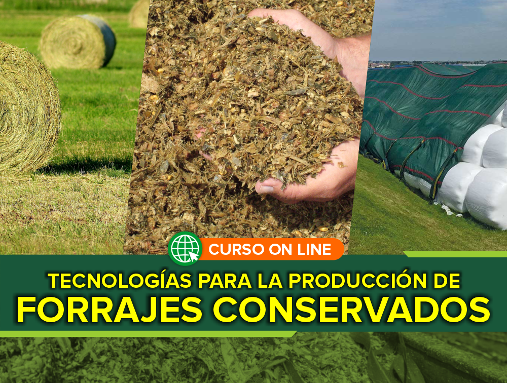 Curso On Line: Tecnologías para la Producción de Forrajes Conservados