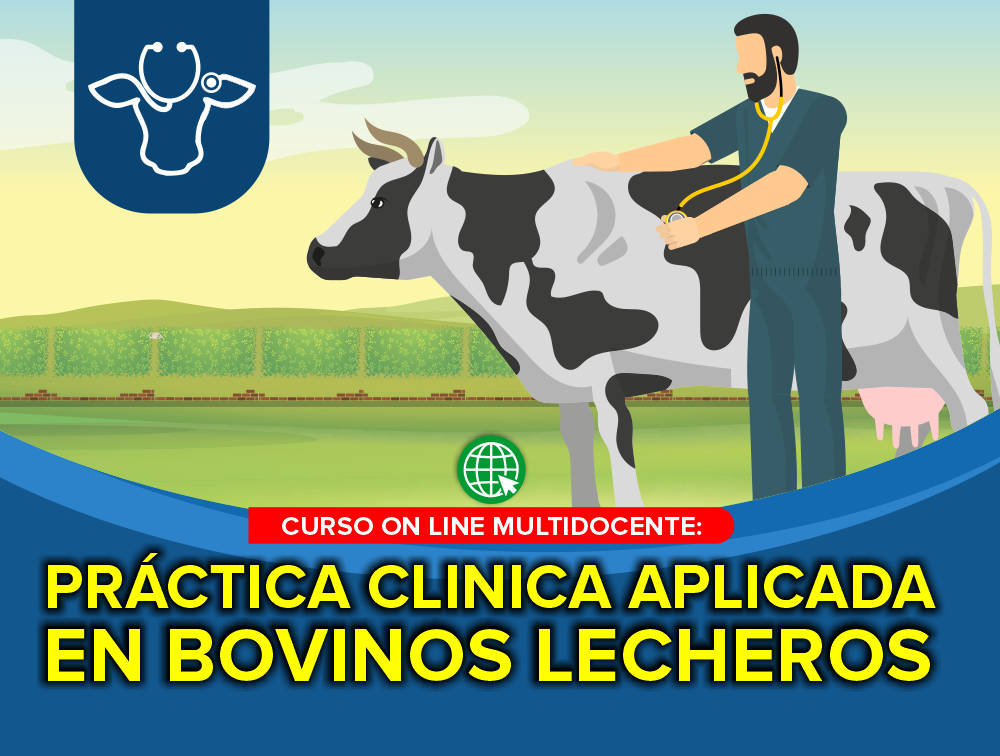 Curso On Line Multidocente: Práctica Clínica Aplicada en Bovinos Lecheros