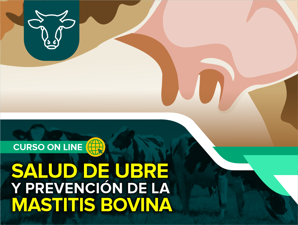 Curso On Line: Salud de Ubre y Prevención de la Mastitis Bovina