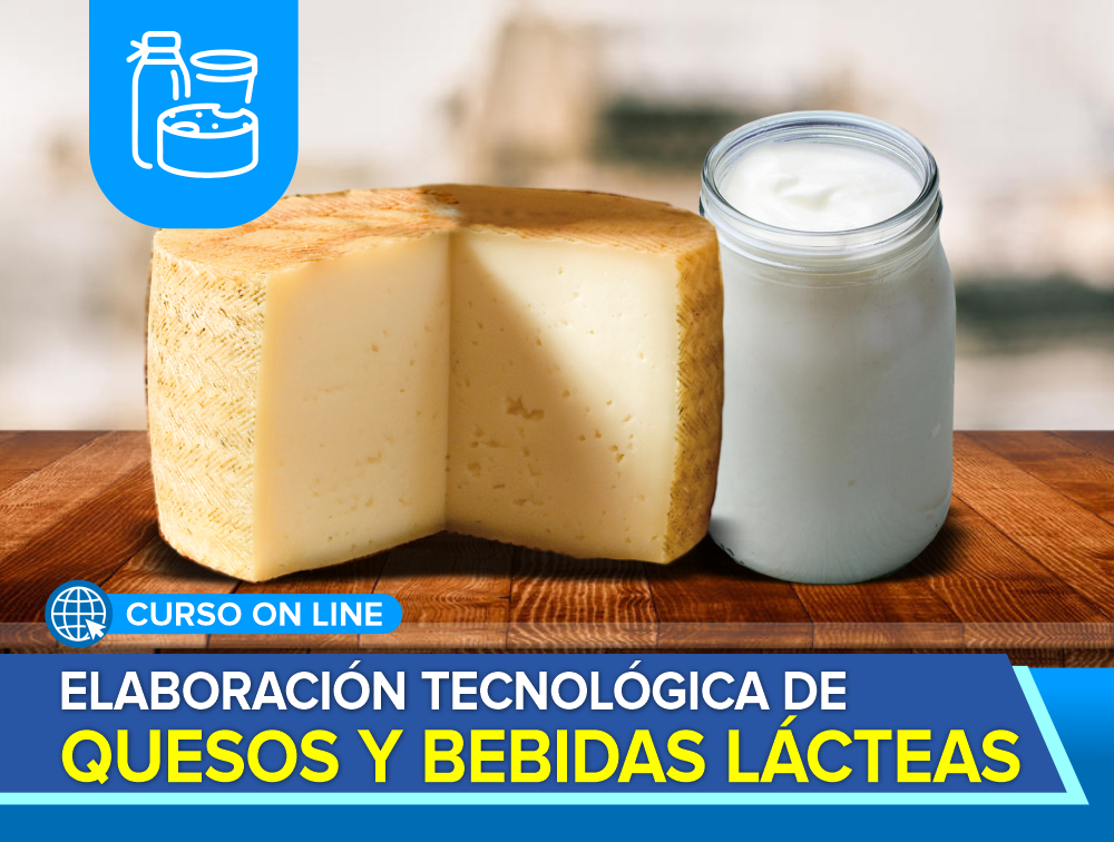 Curso On Line: Elaboración Tecnológica de Quesos y Bebidas Lácteas