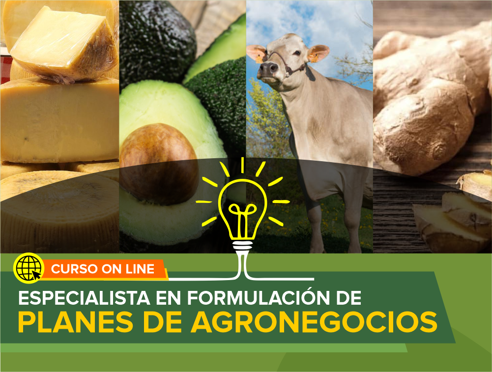 Curso On Line: Especialista en Formulación de Planes de Agronegocios