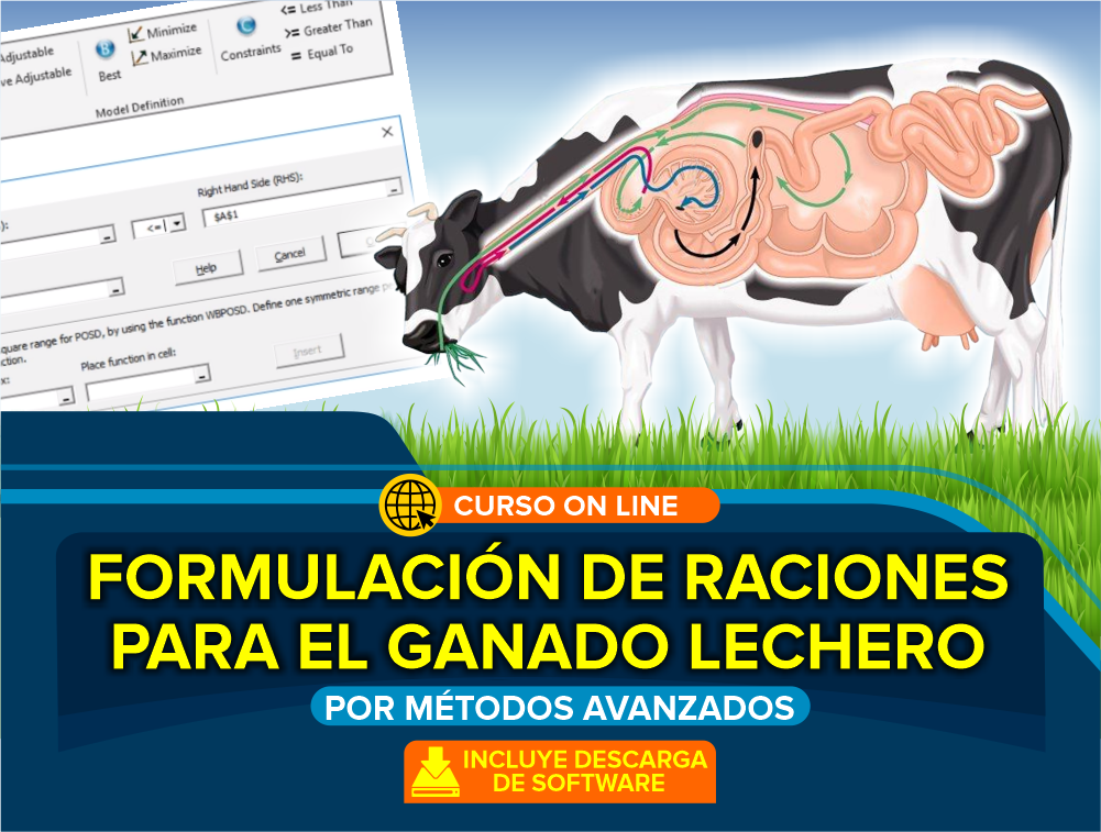 Curso On Line: Formulación de Raciones para Ganado Lechero por Métodos Avanzados