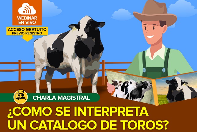 ¿Cómo se interpreta un Catálogo de Toros?