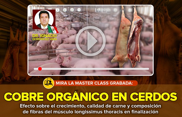 MASTER CLASS: Cobre Orgánico en Cerdos