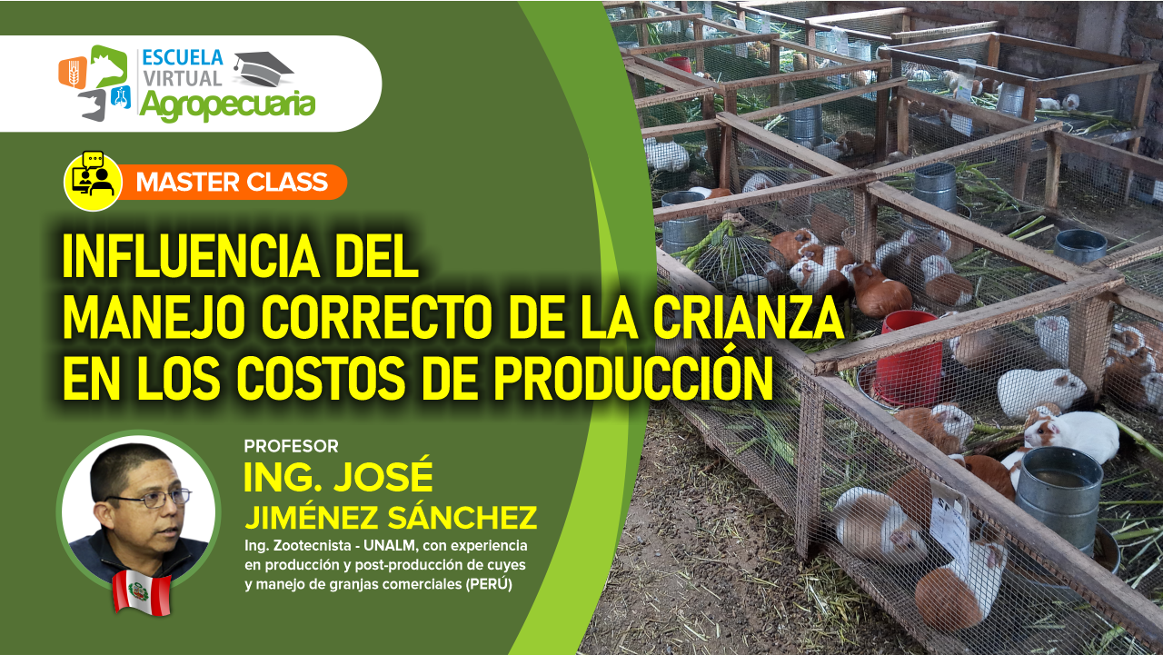 MASTER CLASS: Influencia del Manejo Correcto de la Crianza en los Costos de Producción