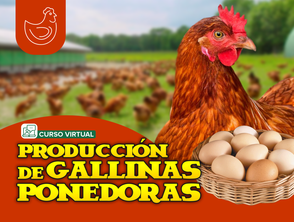 Escuela Virtual Agropecuaria