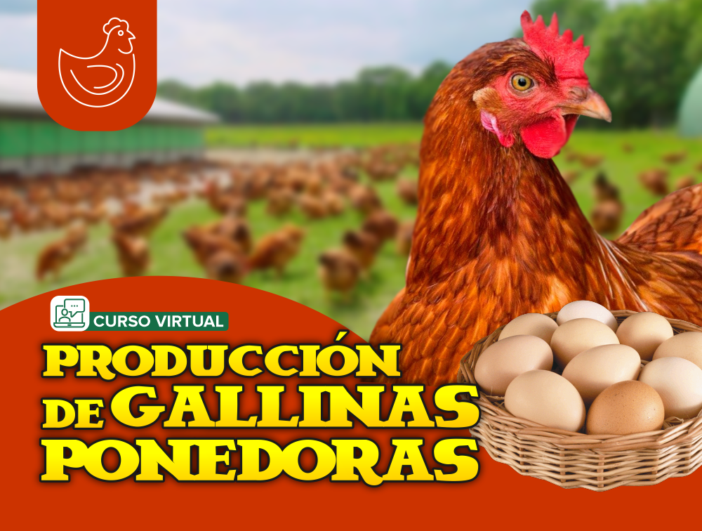 Curso Virtual de Negocios Agropecuarios: Producción de Gallinas Ponedoras