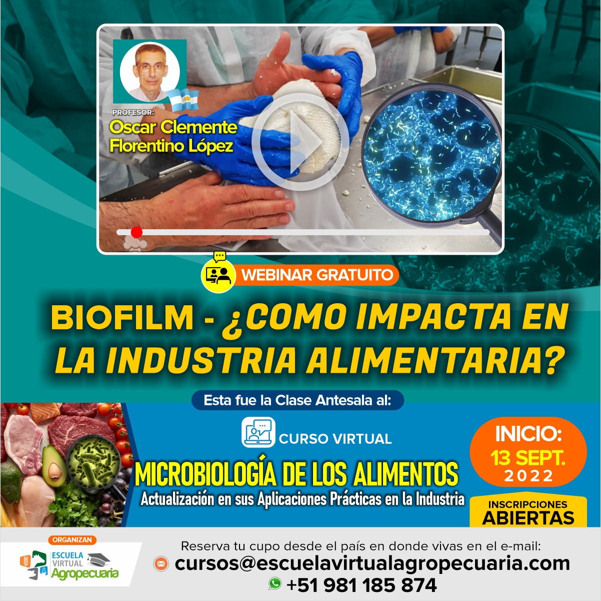 Biofilm: ¿Cómo impacta en la Industria Alimentaria?