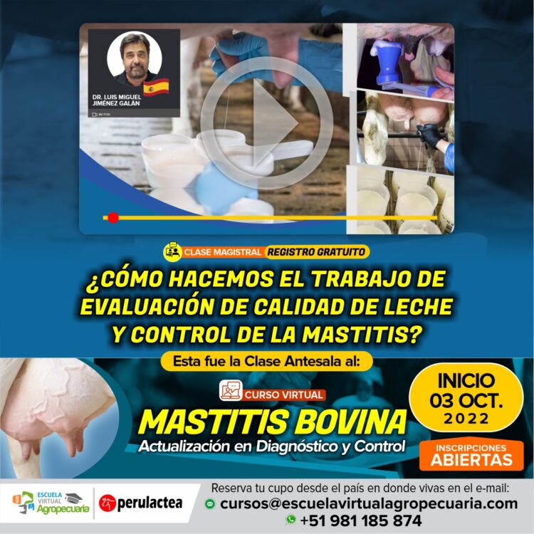 ¿Cómo Hacemos el Trabajo de Evaluación de Calidad de Leche y Control de la Mastitis?