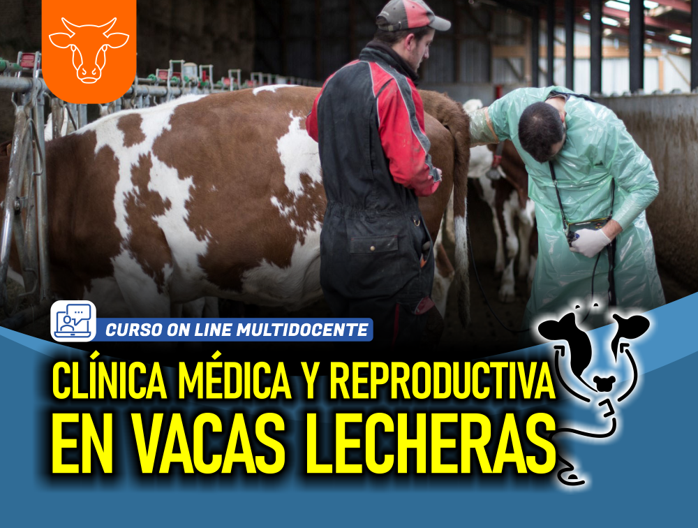 Curso On Line Multidocente: Clínica Médica y Reproductiva en Vacas Lecheras
